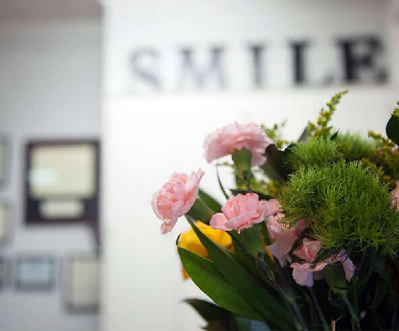 Close up of flowers in dentists office